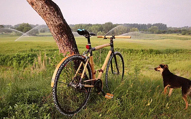 Bamboo Bicycle Frame - Custom Built